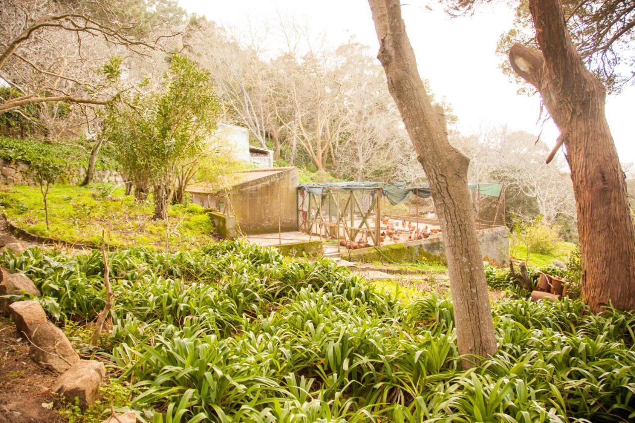 Almaa Sintra Hostel Екстериор снимка